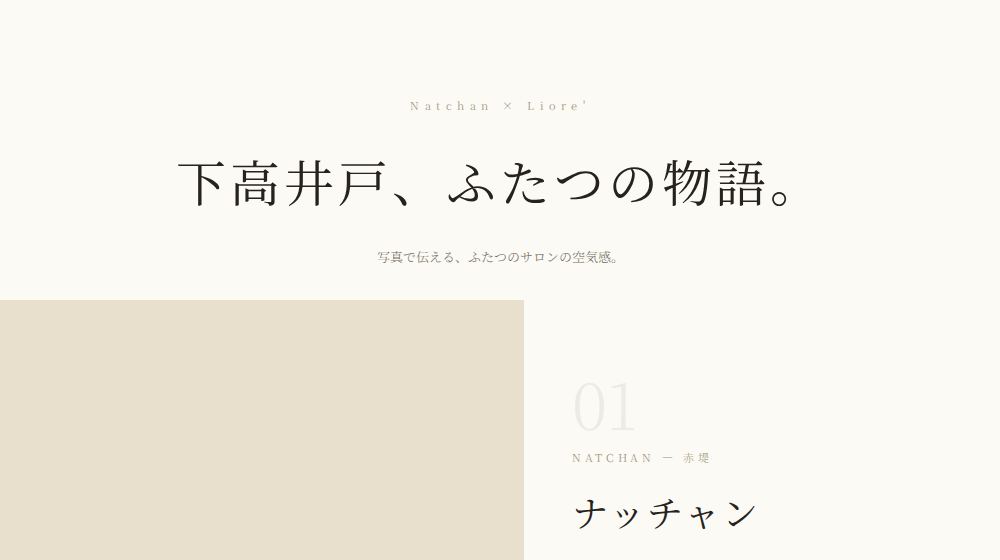案31 フォトジャーナル（マガジン）並列型